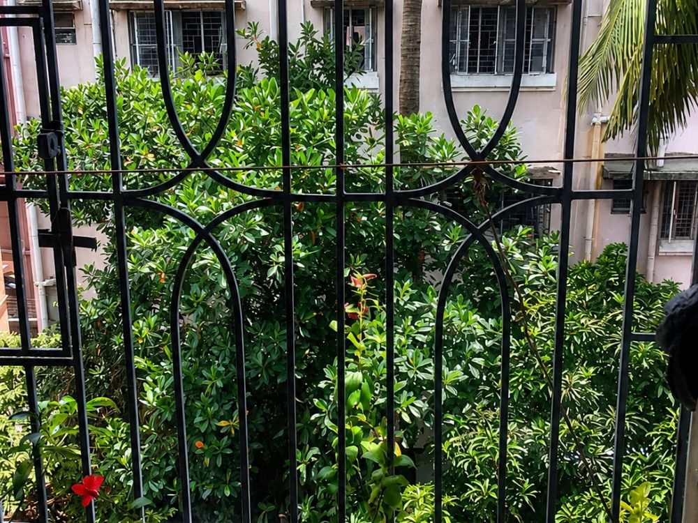 Decorative Safety Grill by Radha Krishna Enterprise